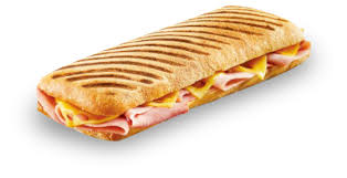 PANINIS